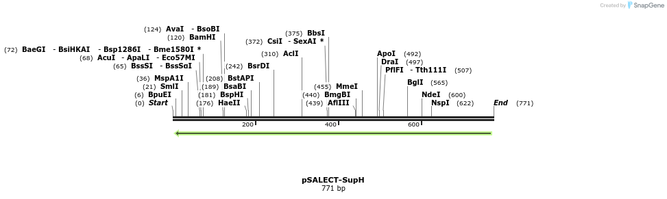96815_map