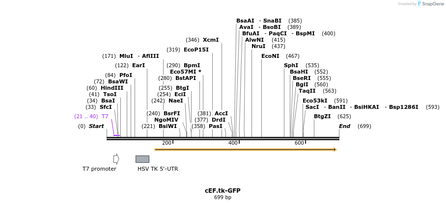 96818_map
