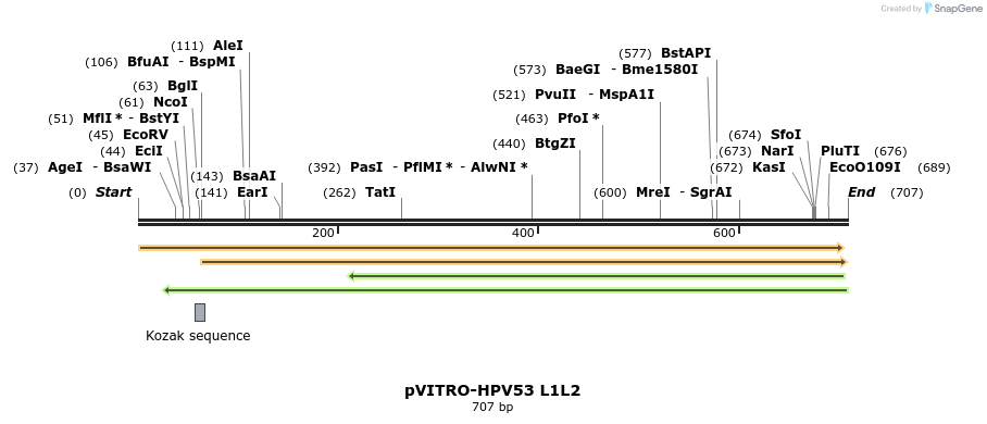 96819_map