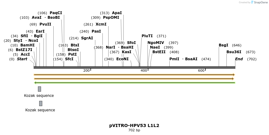 96821_map