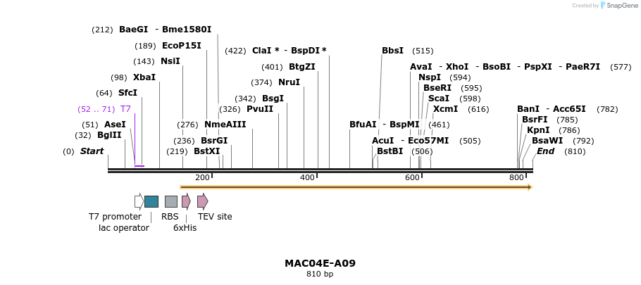 96822_map