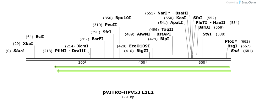 96823_map