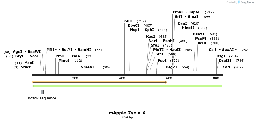 96824_map