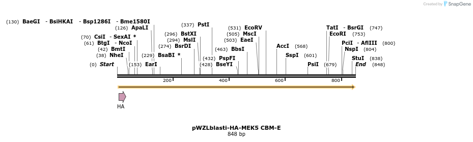 96827_map