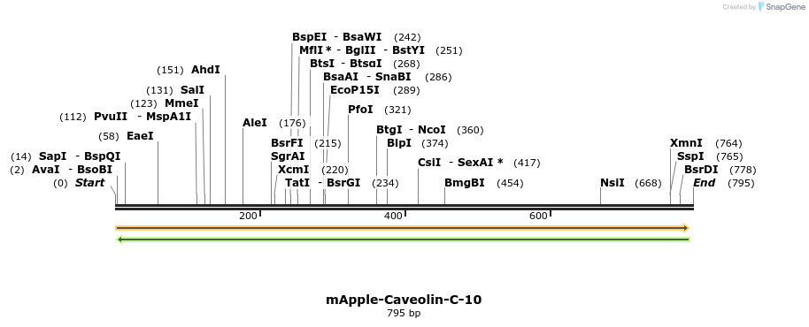 96834_map