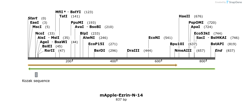 96835_map