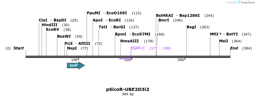 96840_map