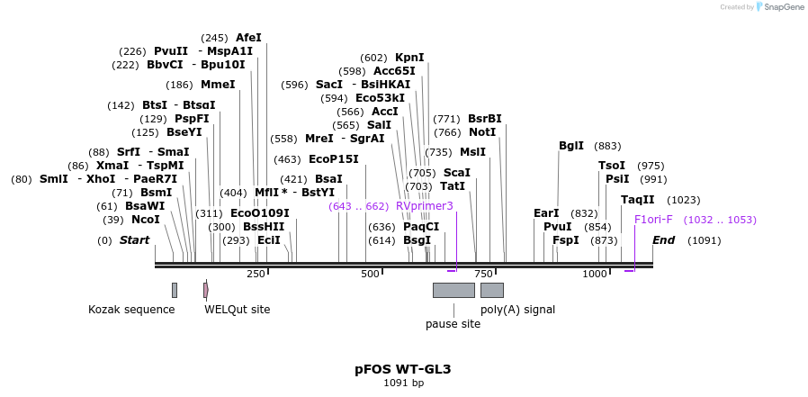 96841_map
