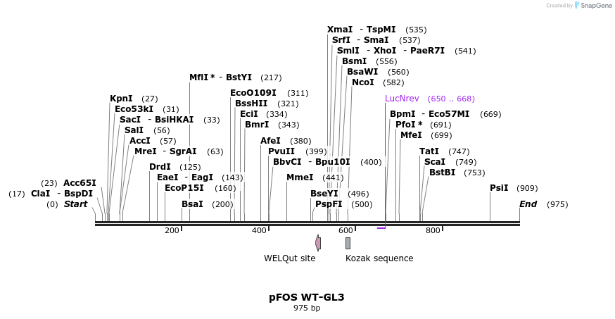 96842_map