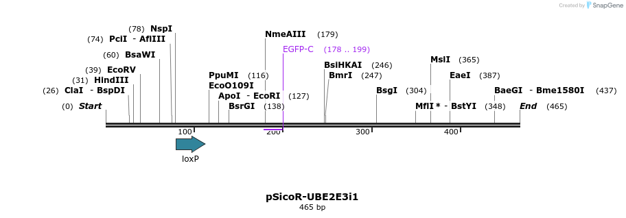 96846_map