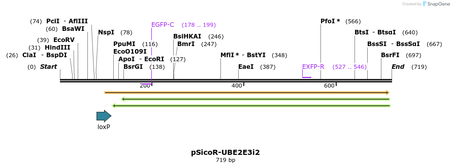 96847_map