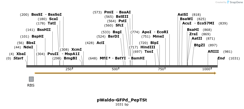 96848_map