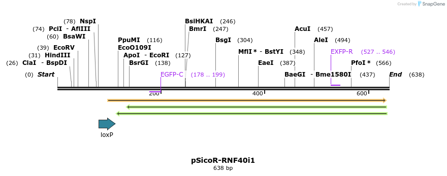 96849_map