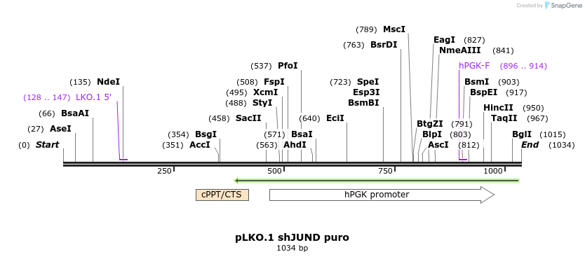 96850_map