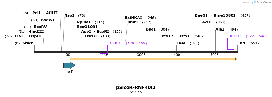 96851_map
