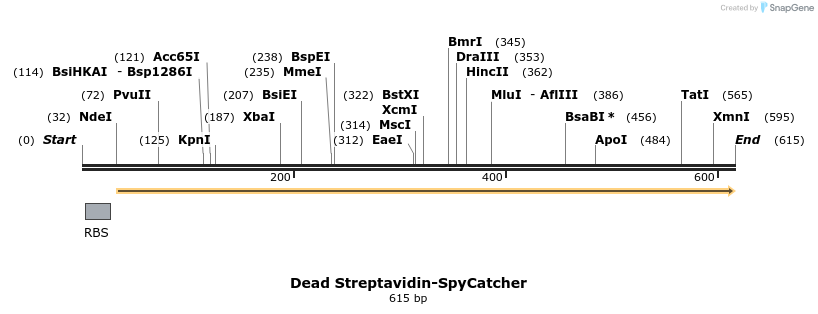 96868_map