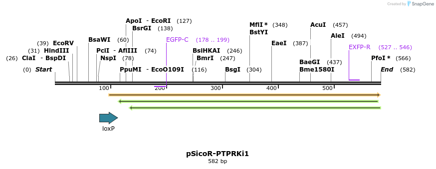 96869_map