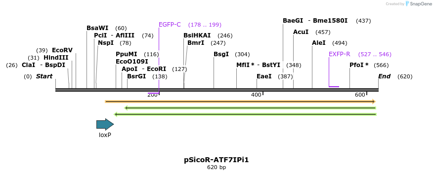 96873_map