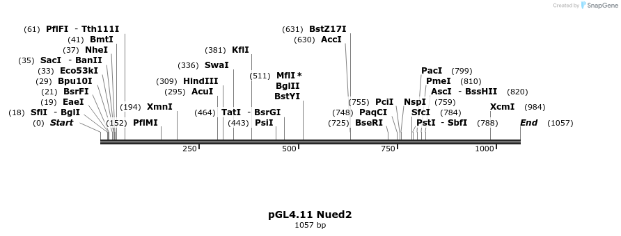 96881_map