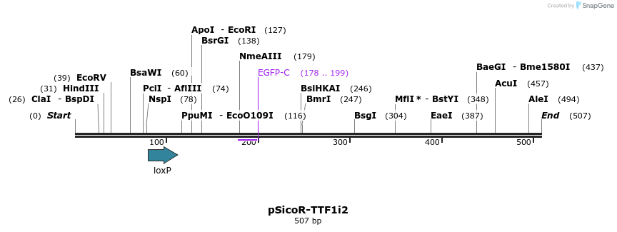 96882_map