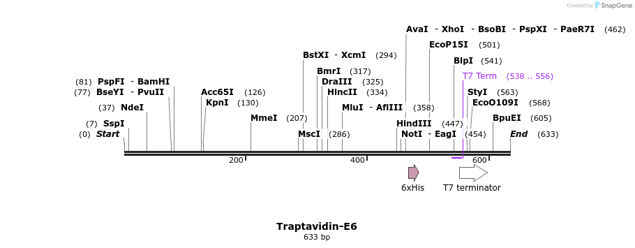 96886_map