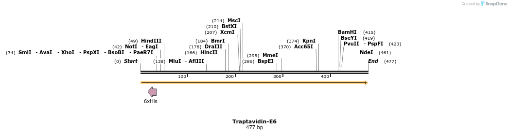 96888_map