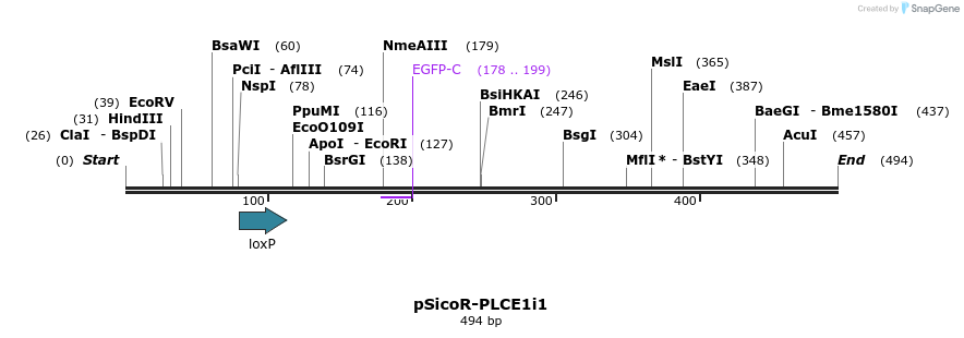 96895_map