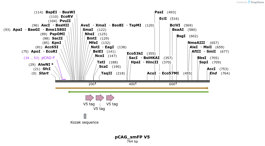 96896_map