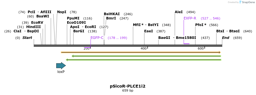 96897_map