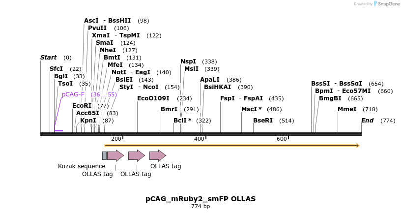 96899_map