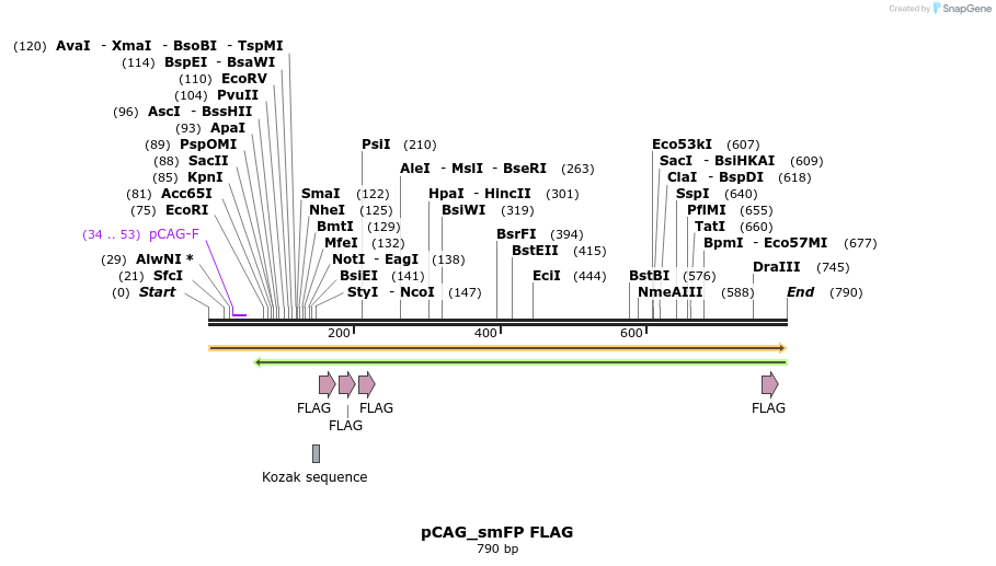 96905_map