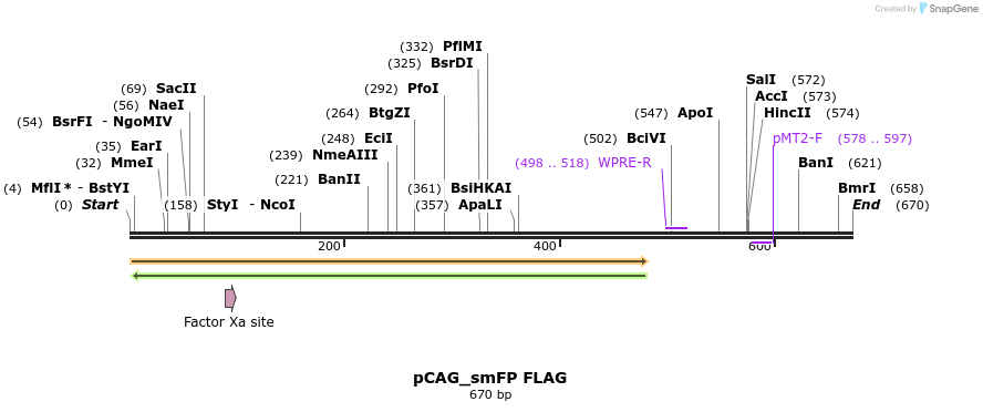 96906_map