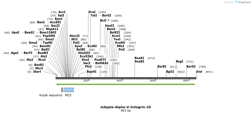 96907_map