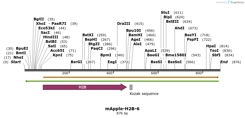 96908_map