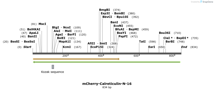 96911_map