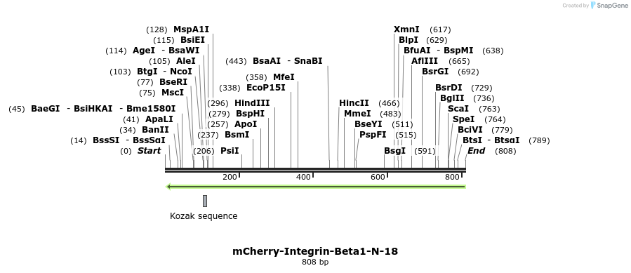 96913_map