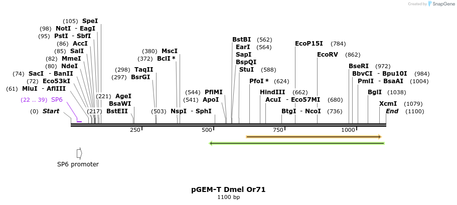 96918_map
