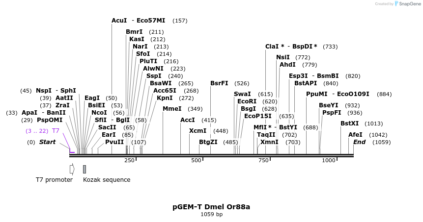 96920_map