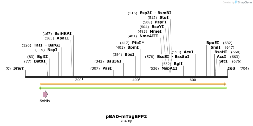 96928_map