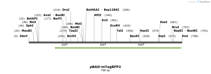 96929_map