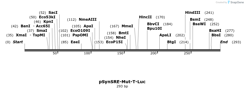 96930_map