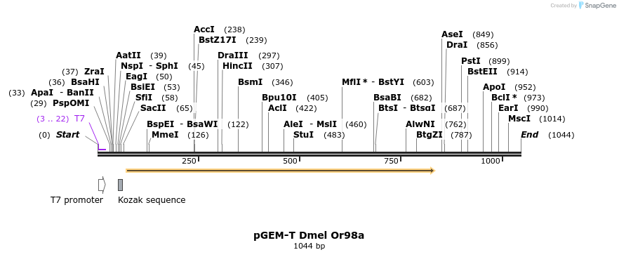 96931_map