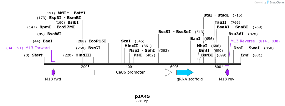 96936_map