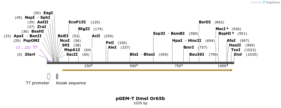 96937_map