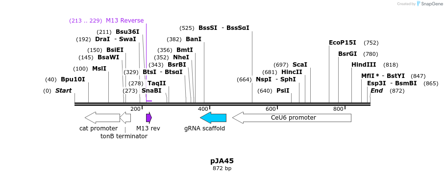 96938_map