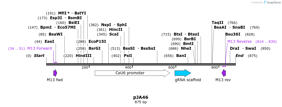 96940_map