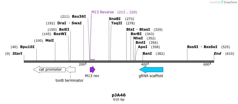96942_map