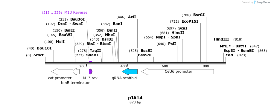 96944_map