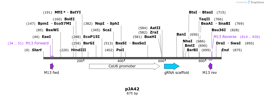 96945_map