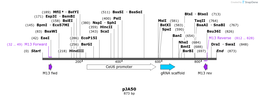 96947_map